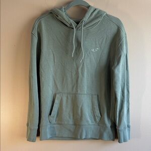Hollister Men's Hoodie in Light Green